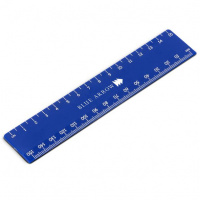 Scholastic 15cm Ruler